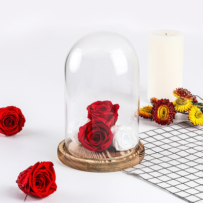 微景观透明玻璃罩 实木创意永生花仿真花礼盒制作工艺品