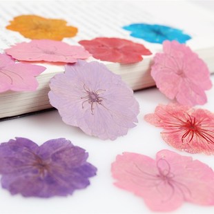 �ѻ��ɻ�����ֲ��˱��̌W DIY�ֹ����z�ɻ��֙C����޹Ϟ�TѺ����