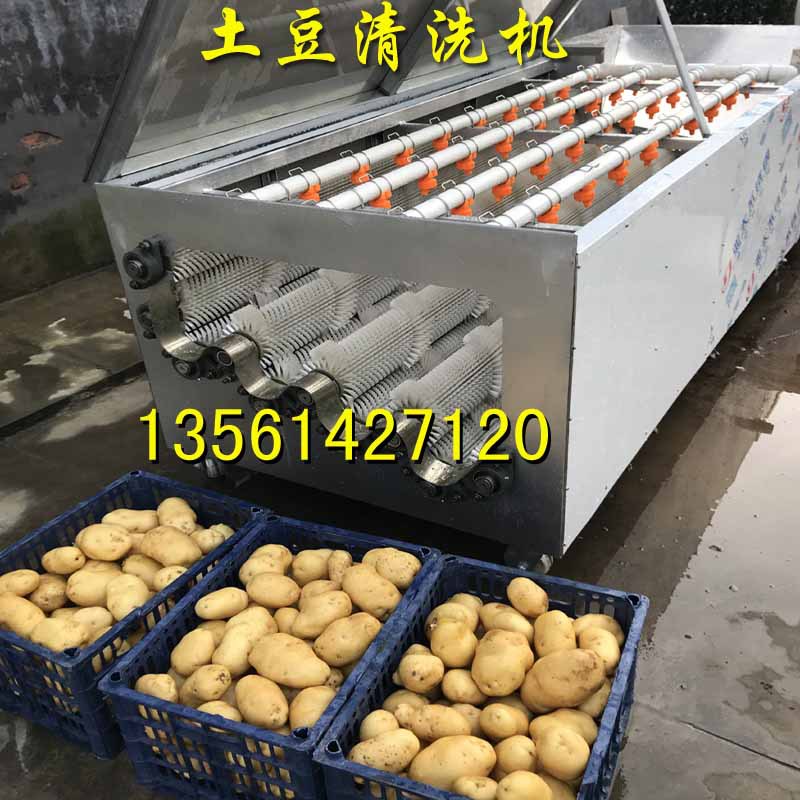 土豆清洗机3