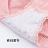 Japanese underwear, breathable lace waist belt, cotton pants