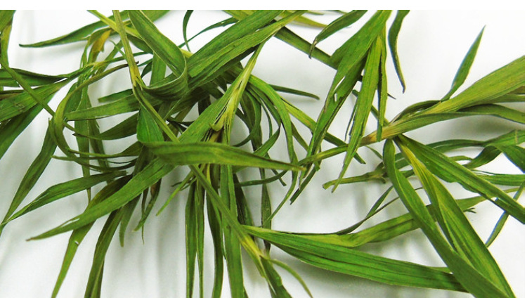 Bamboo Leaf Tea (Lophatherum gracile / Phyllostachys) — Dried Herbal Leaf Tea, 500g quality and texture
