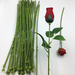Моделирование заусеница роз полюс одноместный филиал роз ветвь зеленые листья подсолнечник цветочные стержни гортензия цветочные стержни оптовая торговля