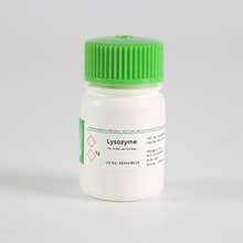 BioFroxx 1256GR005 ܾø/Lysozyme(Egg White)|ø 5g/ƿ