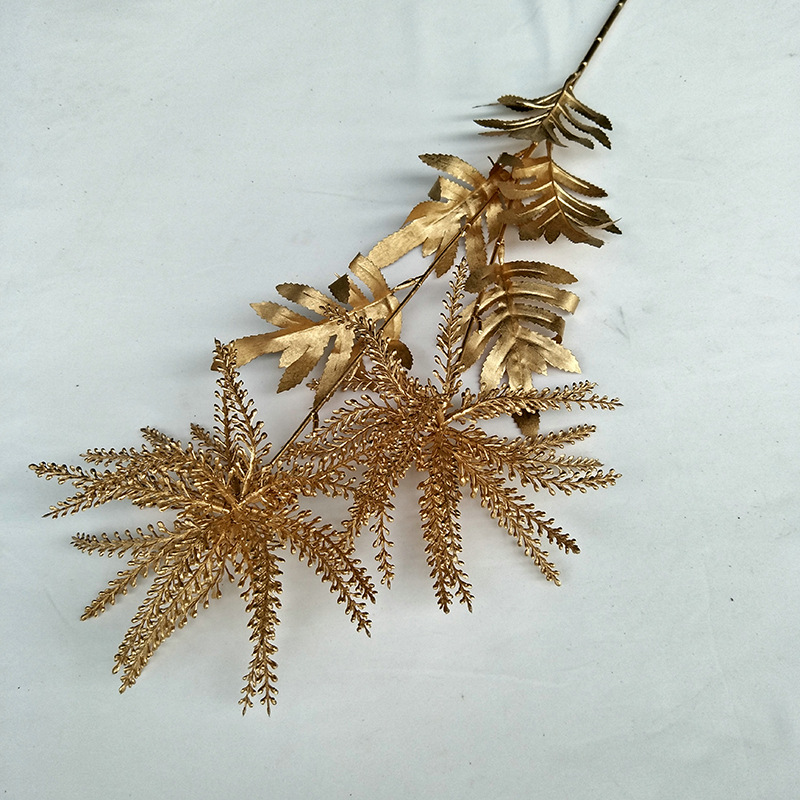 82厘米2头海星价格4.9