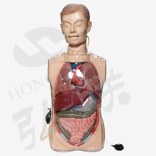 �๦��͸��ϴθӖ��ģ��(�����ⷴ�䣩GD/H80.100/ȫ���t��