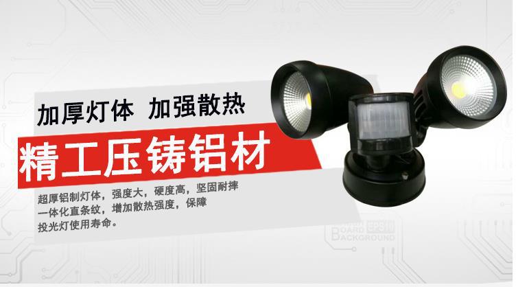 三针快插式双头带感应壁灯