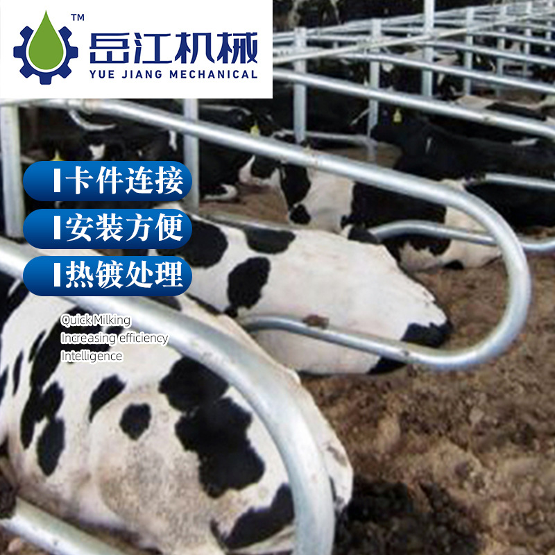 热镀锌管牛卧床 卡件连接安装方便 可供应牛卧床牧场养殖配套设备