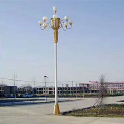 定制LED灯5-10米道路亮化广场公园工程道路照明灯景观高杆灯