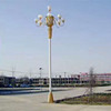 定制LED灯5-10米道路亮化广场公园工程道路照明灯景观高杆灯|ru