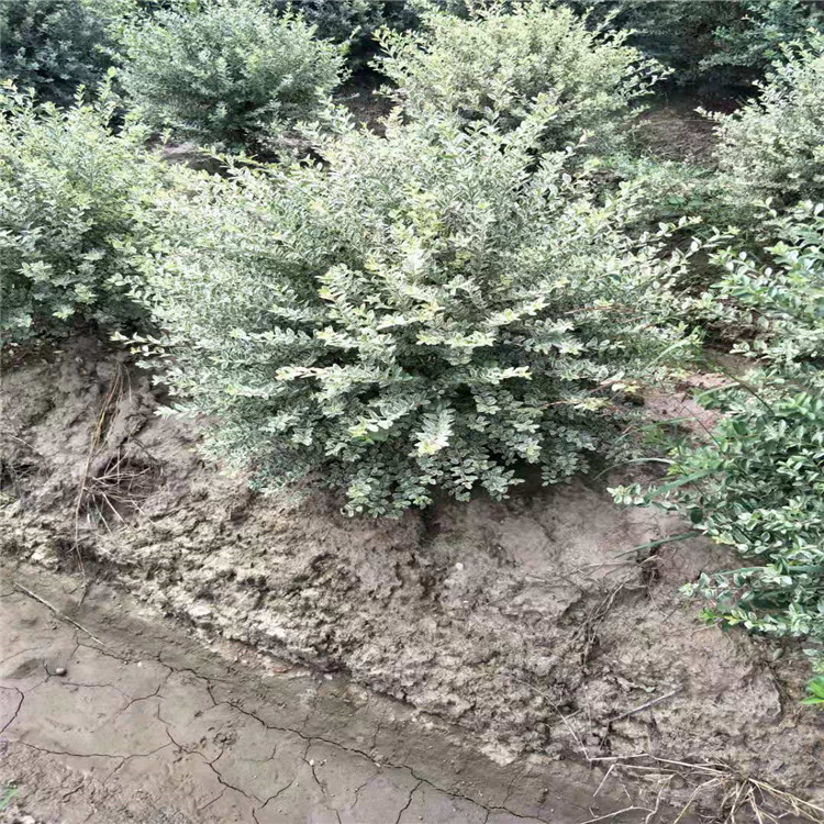 微信图片_20190924001032