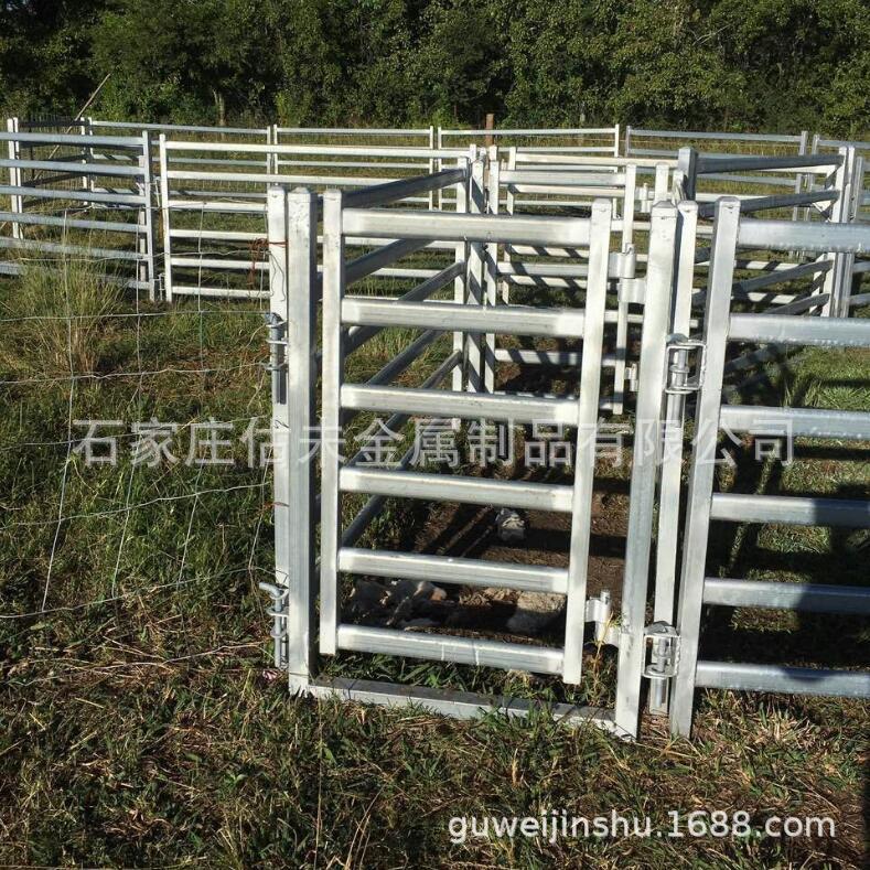 出口加工欧洲方管镀锌钢管焊接牛场围栏厂家直销