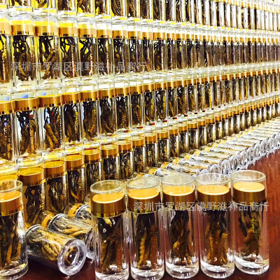 2019西藏那曲冬虫夏草高海拨网红小草10条装源头正品货一件代发