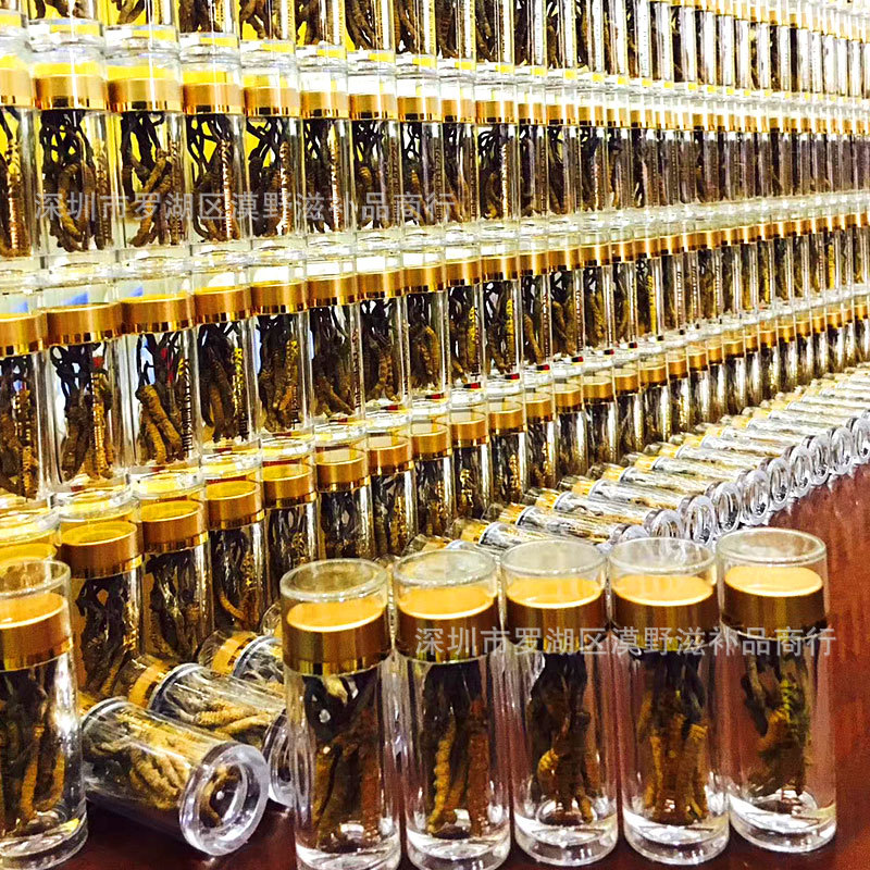 2019西藏那曲冬虫夏草高海拨网红小草10条装源头正品货一件代发