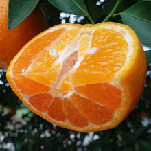 ���ӗո̳��ٺ�������Ӯ���������rˮ�����Ӹ��ٰҰҸ̽���