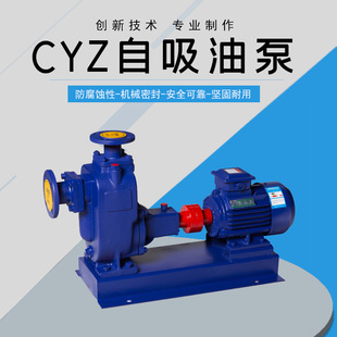 �S��ֱ�N�ݲ����������x��ʽ�ͱ�300CYZ-A-50�������ߓP��ж����