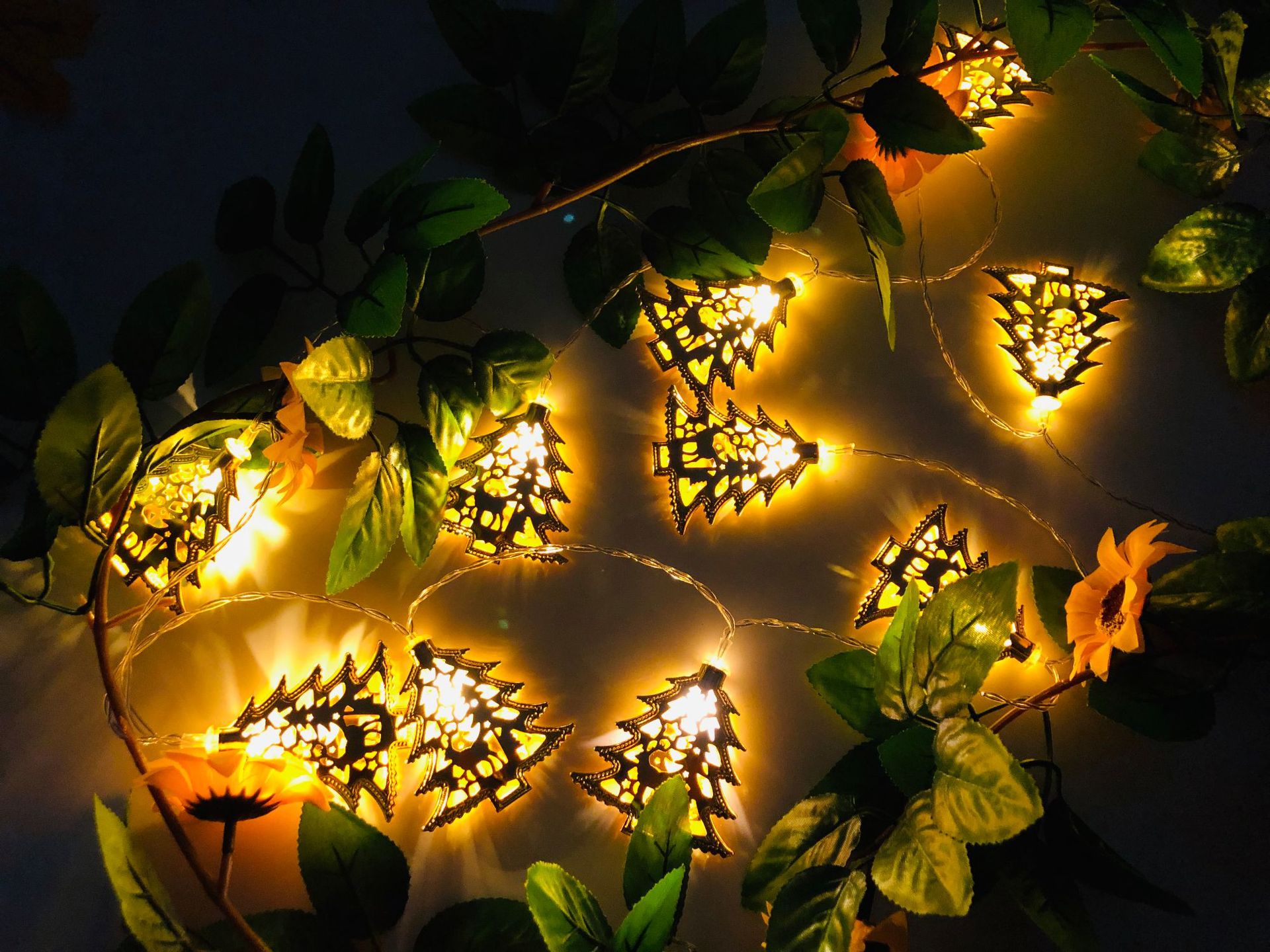 IMG_4886(20190514-001511)