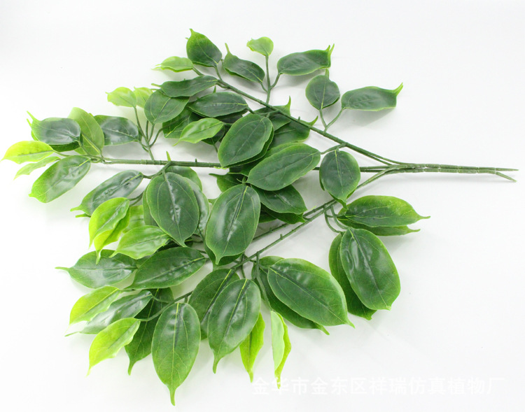 XRB-086香樟叶三叉枝39叶