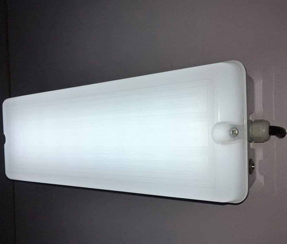 防水应急灯壁灯LED (1)