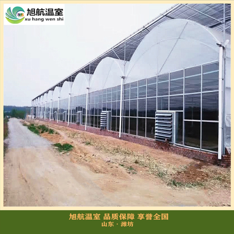 微信图片_20190408113658_副本