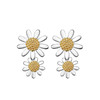 Universal fresh earrings solar-powered, accessory, Korean style, wholesale