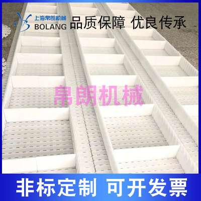 大A塑料网带模块传送带食品级网链输送链板输送带平顶链顶板链轮