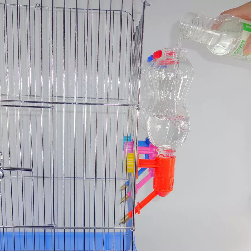 Автоматический чайник для питья и кормления с фиксированным наперстком голландский питьевой фонтан для свиней можно повесить клетку питьевой фонтан для маленьких домашних животных