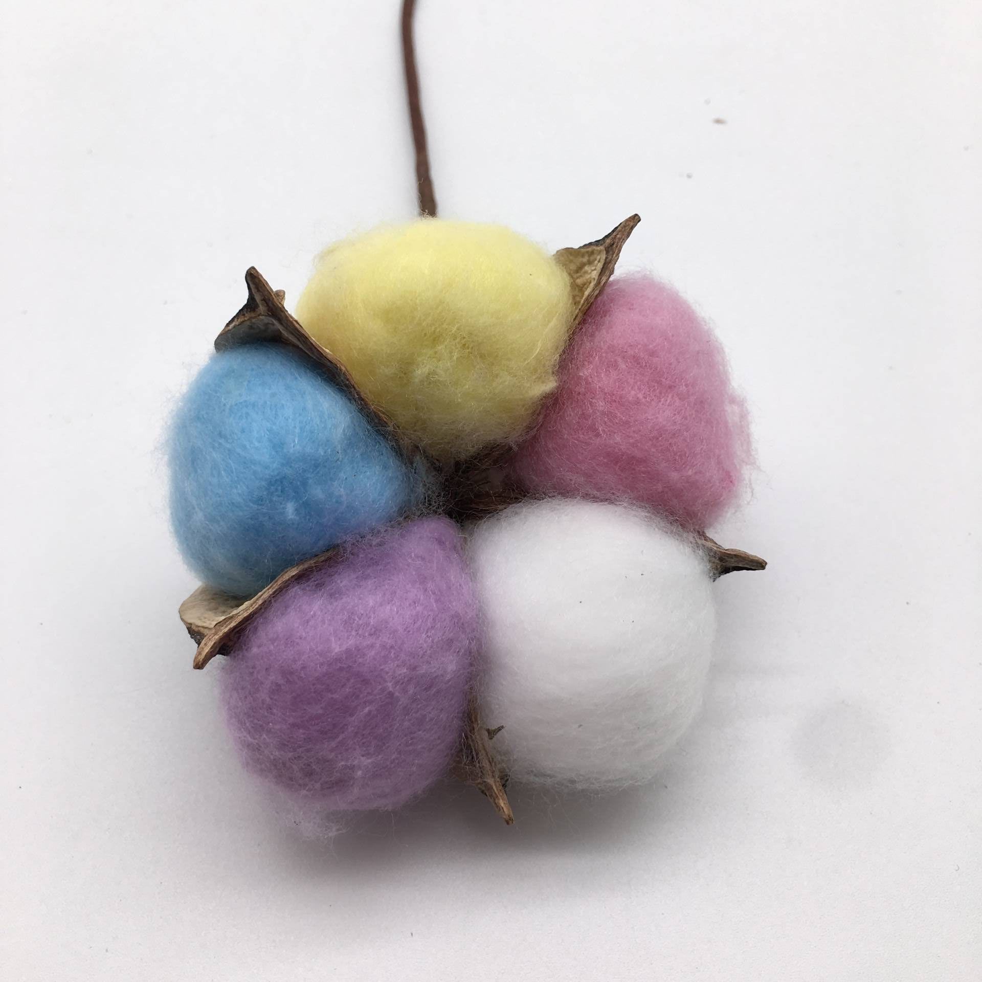 Color