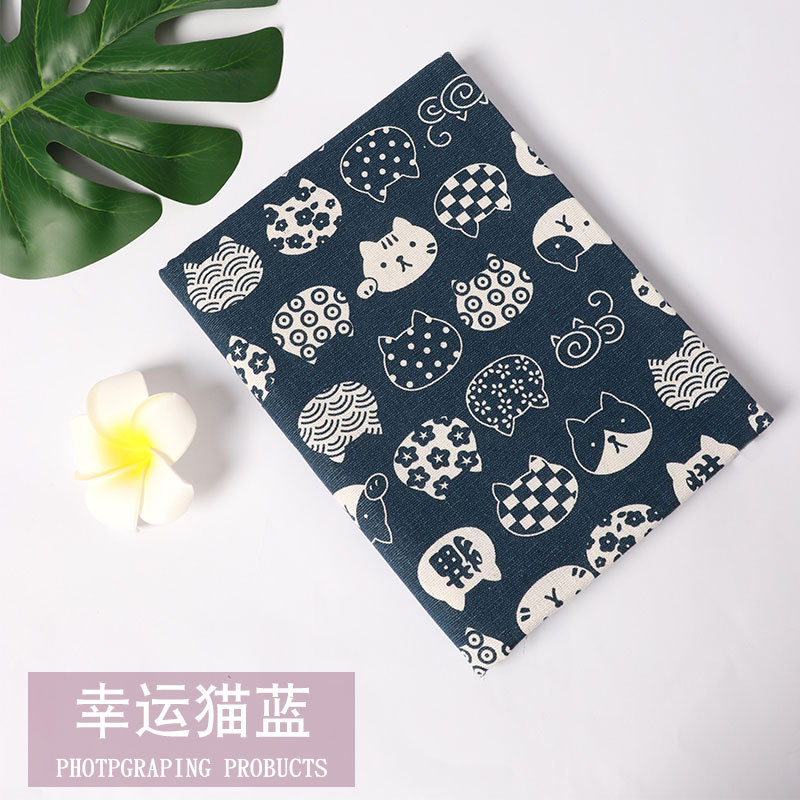 Lucky Cat Blue - Encrypted Model