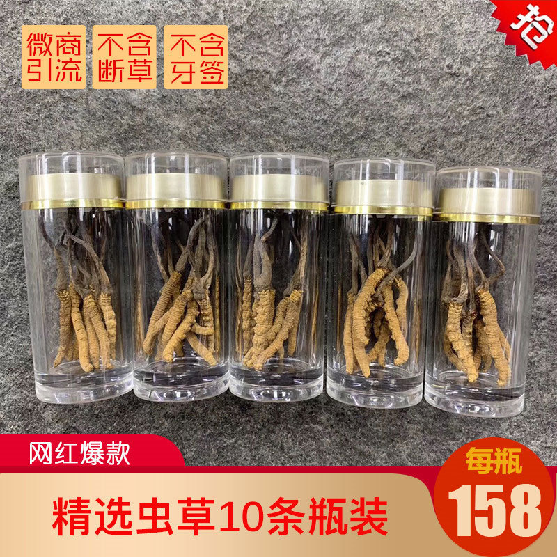 Featured Cordyceps 10 Strip bottle Tibet Cordyceps Toothpick free Grass without breaking Tonic One piece On behalf of