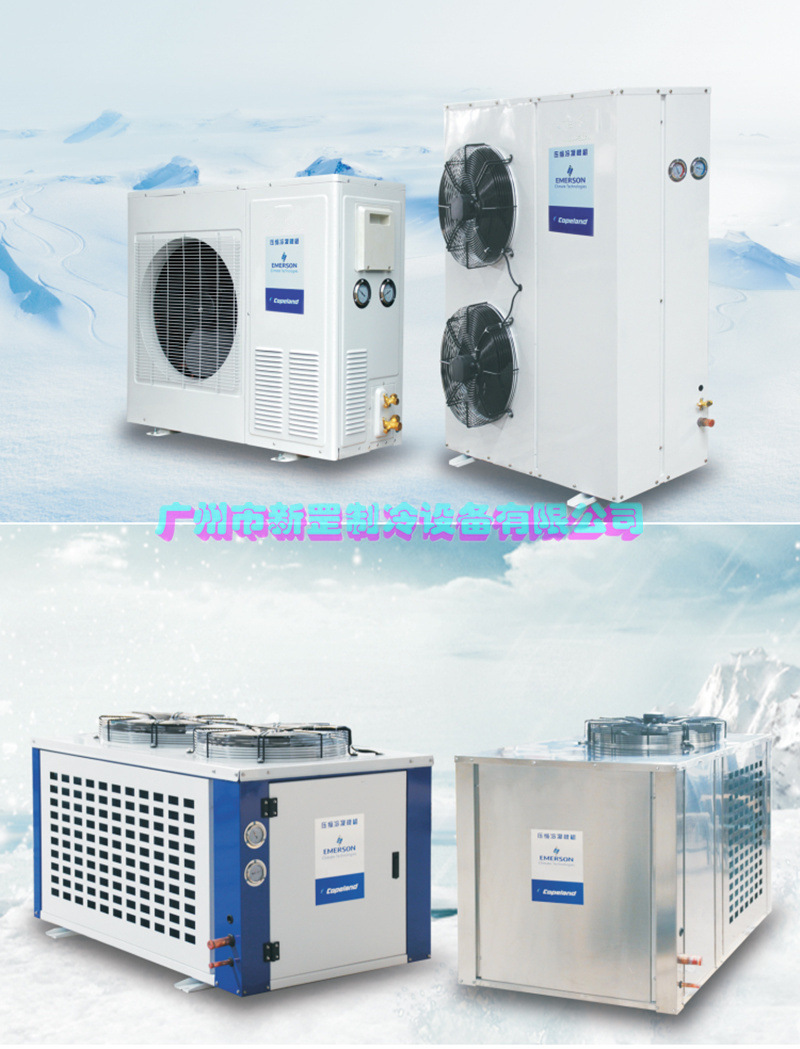 原装进口风冷箱式中央空调机组 单元机10匹ZB76KQE食品速冻机组