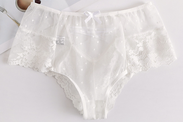 Comfortable Lace Briefs