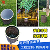 LED Tree stump simulation Tree stump 12W24W36W Scenery gardens courtyard resin Meadow Garden Park Cast light