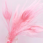 Розовый павлин хвост белый павлин хвост Крест -Борандер декоративный перо