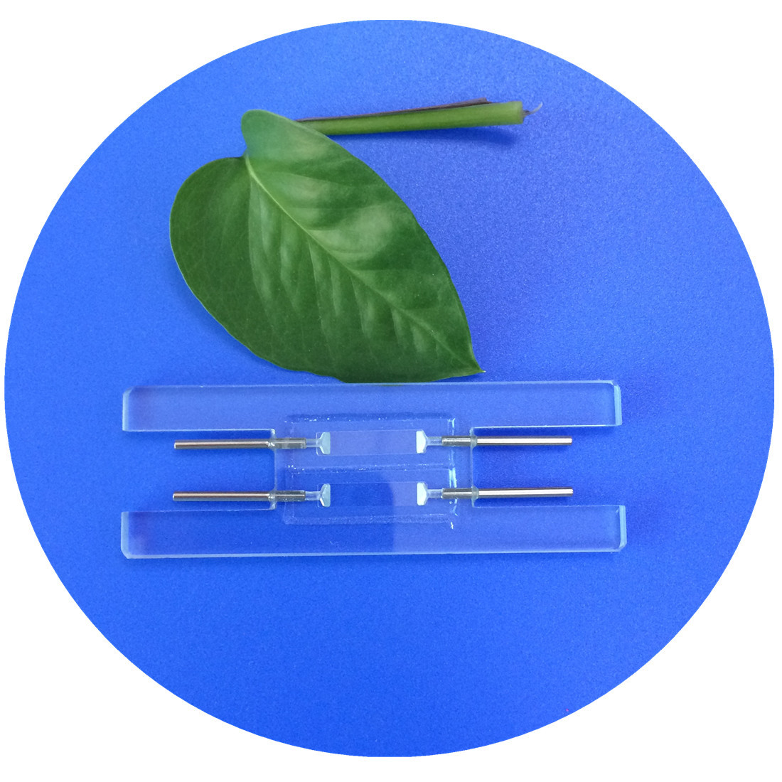 厂家提供优质无划痕天海沉渣尿沉渣单通道计数池双通道计数池