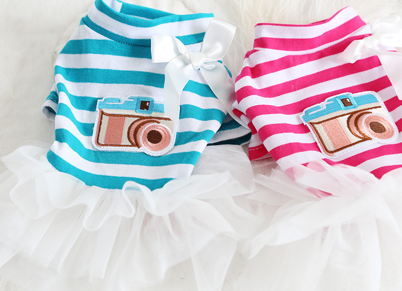 相机条纹纱纱裙