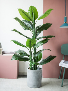 ���S�ꄓ�����Ꭷ��ֲ�����~������҃ȴ��ͱ��W����辰������