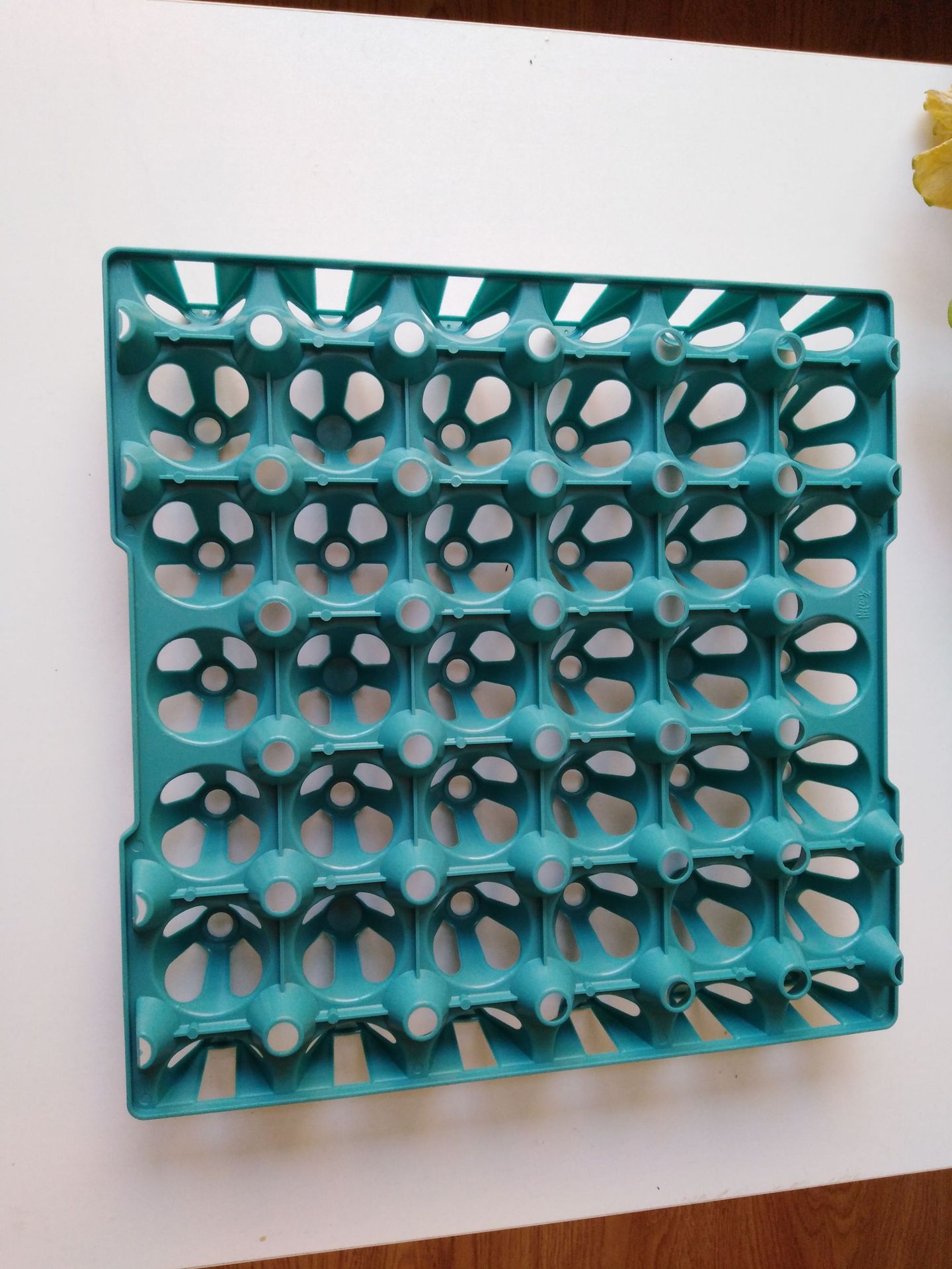 微信图片_20191212215244