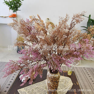 ����ɽ֦�������Fڡ��ѩ�ɲ��仨ֲ���c���ߙ����F�����˼ٻ�