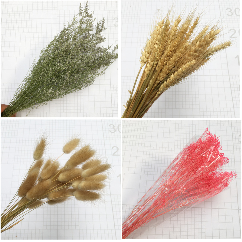 天然干花永生花花束情人草满天星装饰摆件自然麦穗松果拍照道具|ms