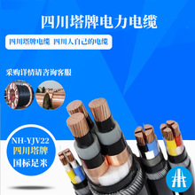 耐火電纜四川塔牌電纜廠家供應NH-YJV22 國標足米銅芯電纜線