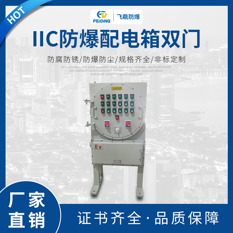 飞鼎 防爆照明动力配电箱 IIC防爆配电箱双门 照明动力配电柜