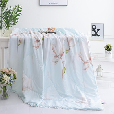 厂家直销夏季莫代尔天丝夏凉被子双人空调被礼品被芯薄被微商代发|ru