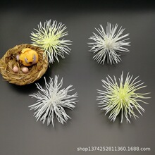 8*9CM海胆 仿真植物龙胆花头 婚庆装饰花莲雾塑料水草配件