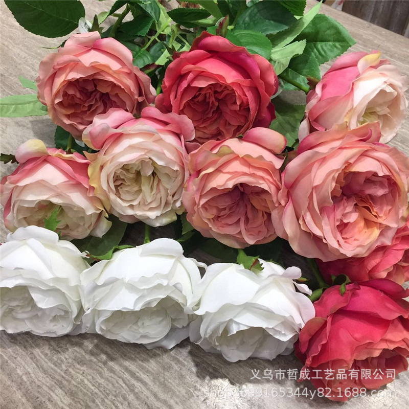 微信图片_20190215211604.jpg