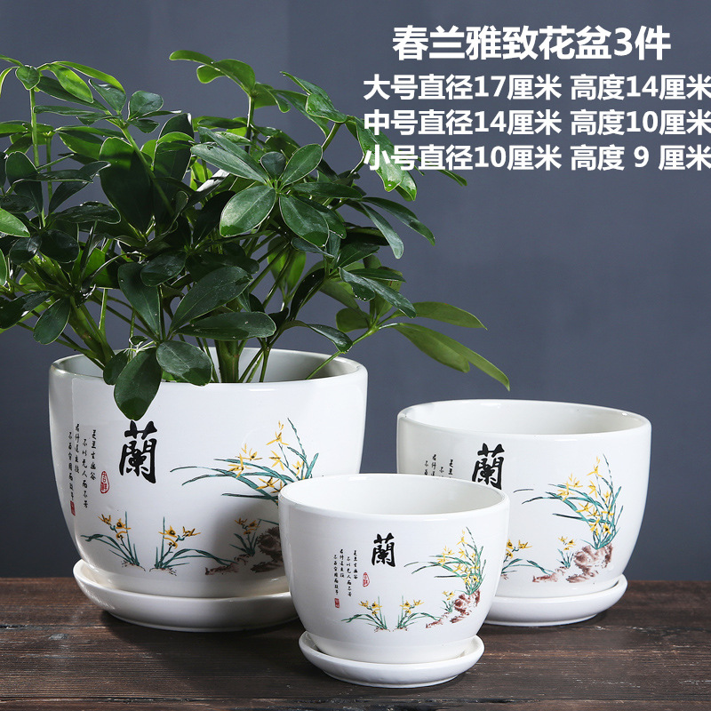 春兰雅致 副本2_副本