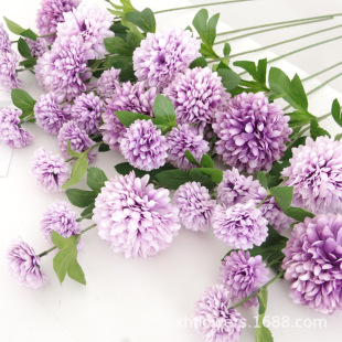 ��c����3�^ǧ�Ӿմ���ƹ����� ��֦�ѹ�Ӣ·�����껨�����b�