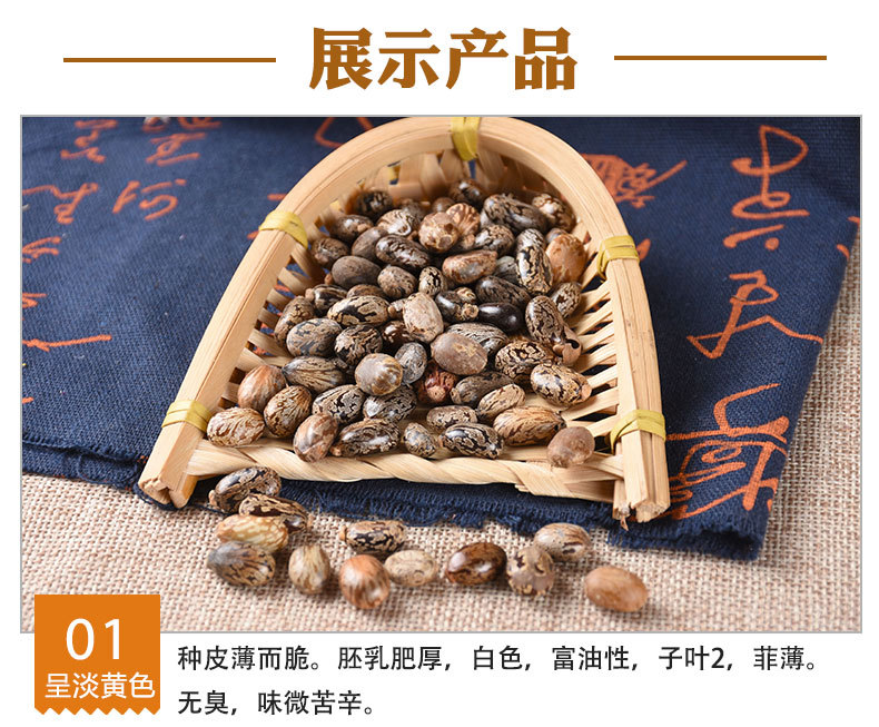 Castor Bean Seeds (Ricinus communis) — Dried Bi Ma Ren Herbal Seed, 500g in use