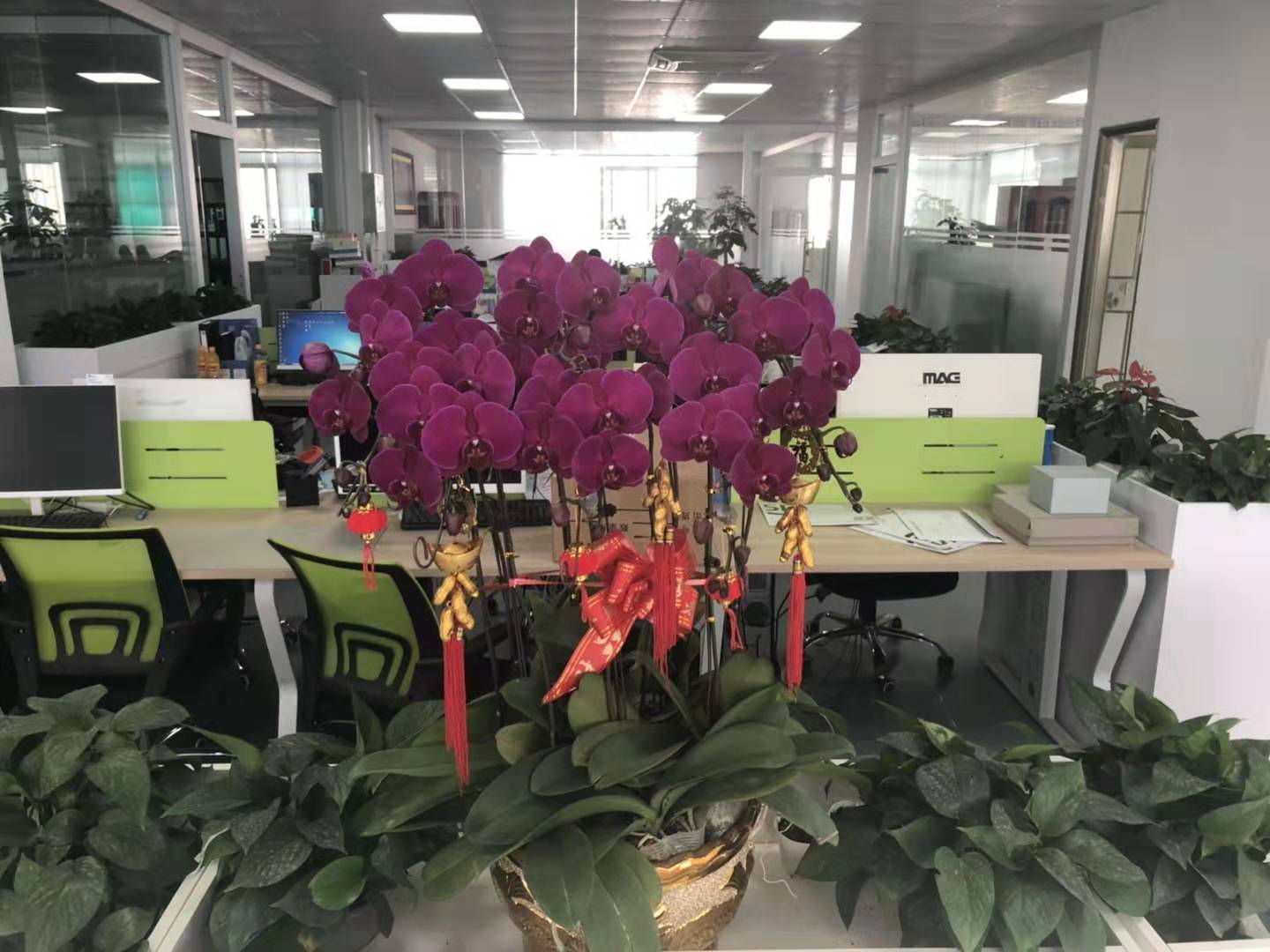 微信图片_20191011144905