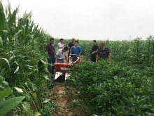 �ӱ����������ݸ��C�����Ͳ�����ī����ݳ��콷�ո�C���l