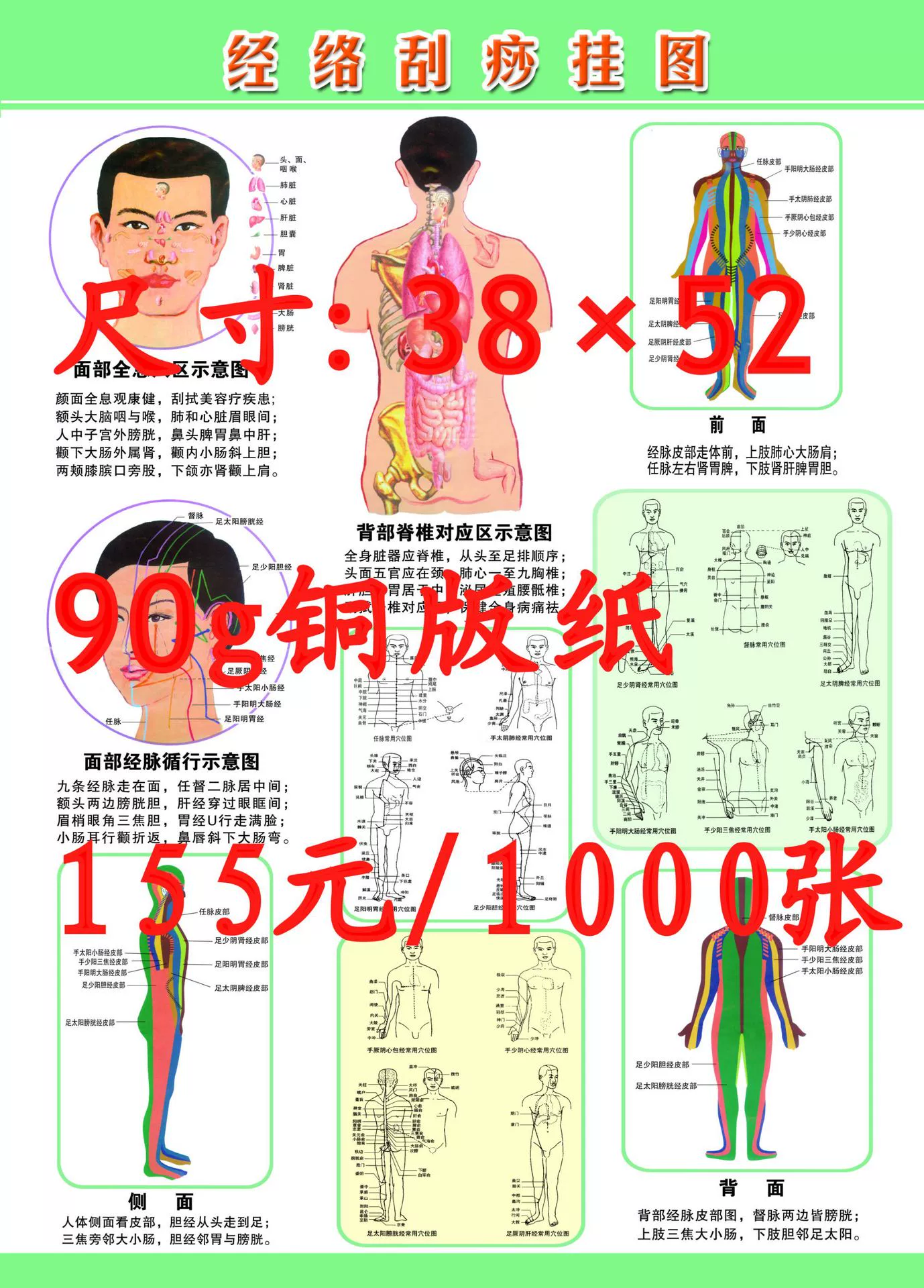 Оптовая стандартная карта точек меридиана, карта прижигания, карта точек меридиана человеческого тела